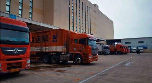 与病毒赛跑,如何实现高效物流配送与物资追踪