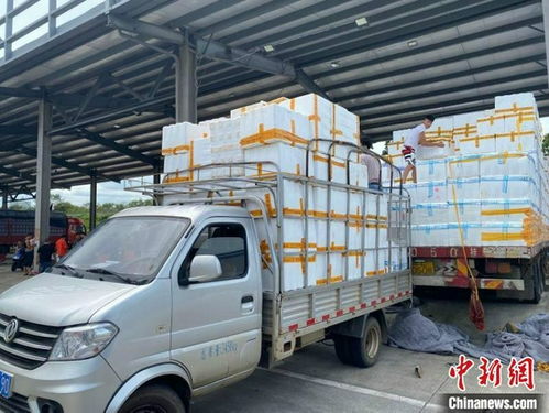 台风后79辆鲜菜保供车抵琼 海口恢复岛外鲜菜供应