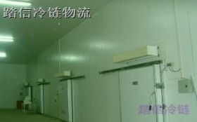 上海到南通冷藏物流踏信冷链效果怎么样