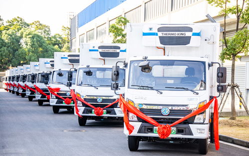 湖北省迎来最大规模氢能商用车交付，助力城市配送运输绿色转型