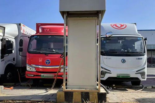 春节不打烊 北京城市配送运输与物流保障探析